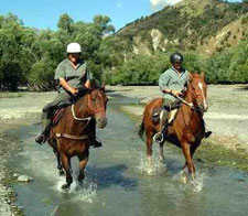 New Zealand-South Island-Alpine Pacific Triangle Ride
